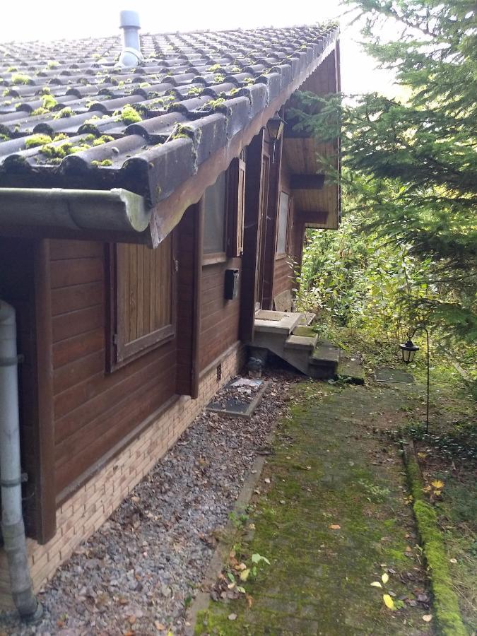 Landhaus Mit Saunakeller Bad Wunnenberg Ngoại thất bức ảnh