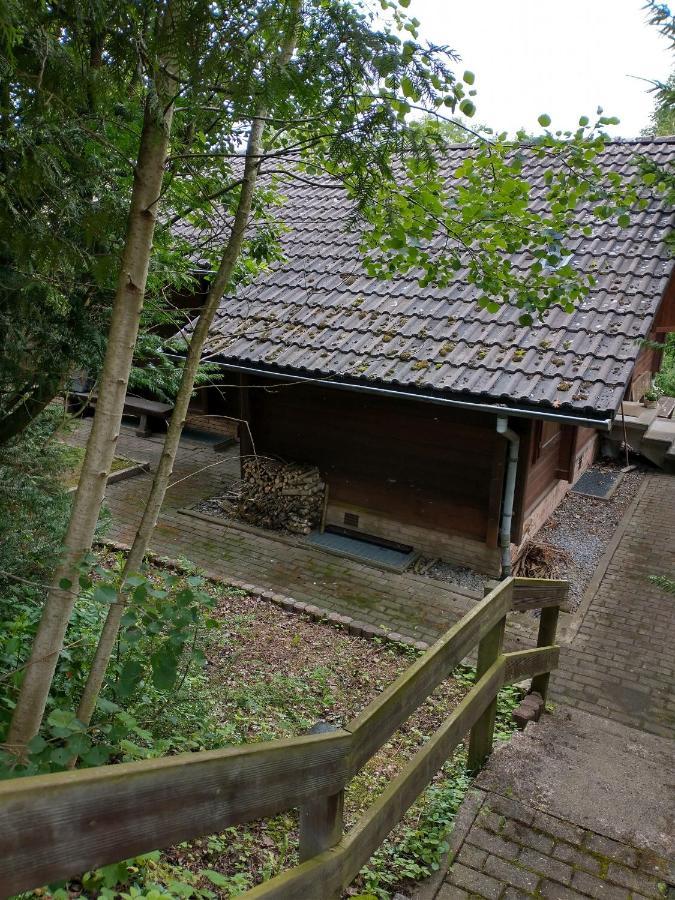 Landhaus Mit Saunakeller Bad Wunnenberg Ngoại thất bức ảnh